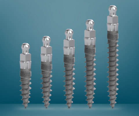 One-Piece Dental Implants [A Video Q&A] Free Consultations in MI